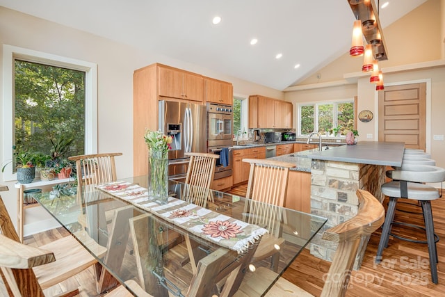 kitchen with lofted ceiling, decorative light fixtures, stainless steel appliances, light wood-type flooring, and a sink