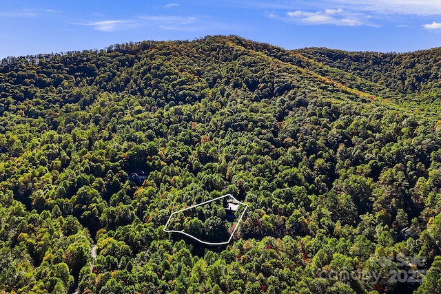 aerial view featuring a forest view