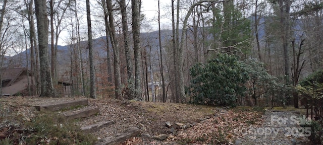 view of nature with a mountain view