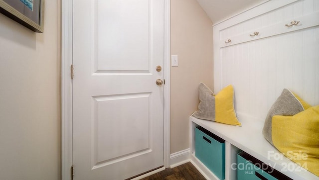 mudroom with dark wood-type flooring