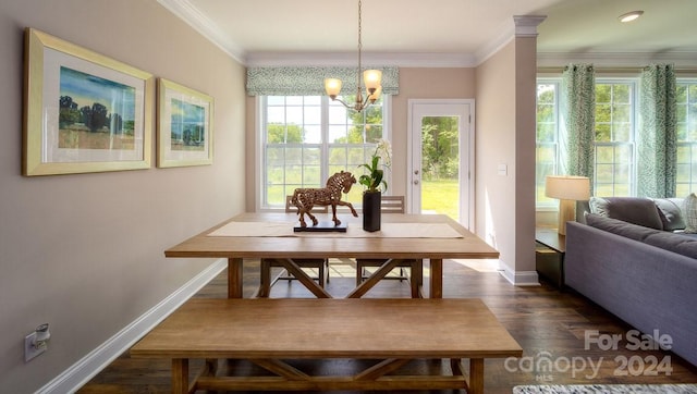 dining room with a notable chandelier, a healthy amount of sunlight, ornamental molding, and dark hardwood / wood-style flooring