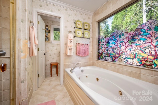 bathroom featuring ornamental molding and a bathtub