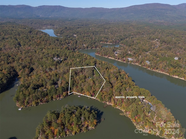 birds eye view of property with a water and mountain view