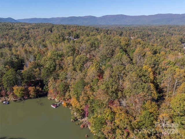 bird's eye view featuring a water and mountain view