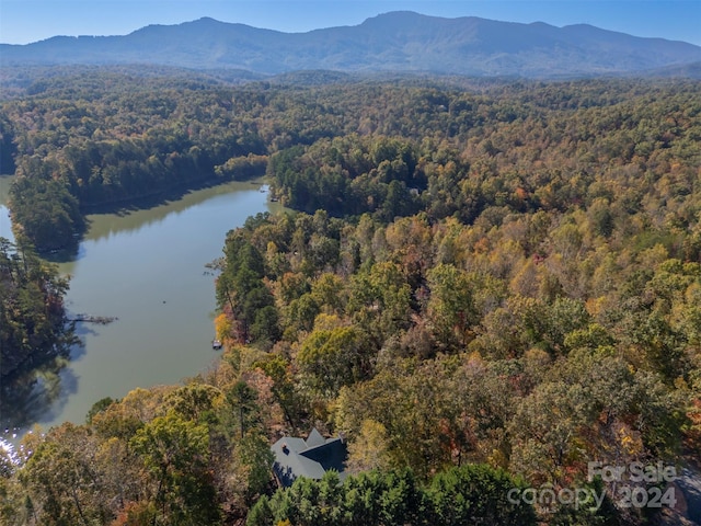 bird's eye view with a water and mountain view