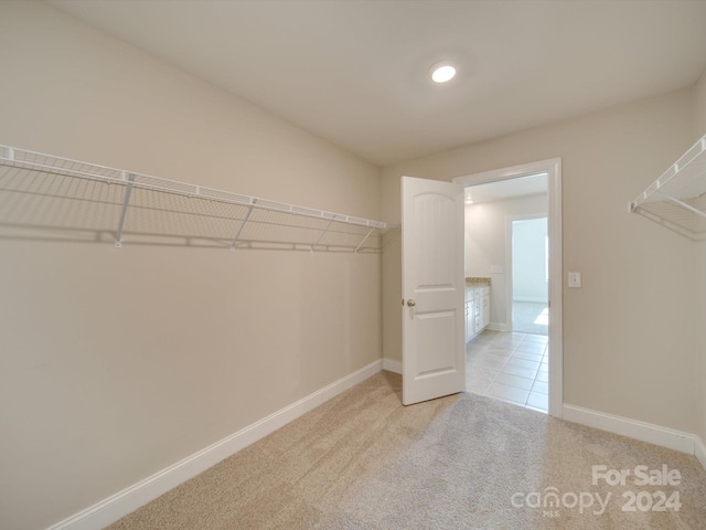 walk in closet with light colored carpet