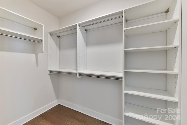 walk in closet with dark hardwood / wood-style floors