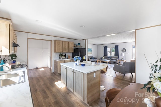 kitchen with black fridge, dark hardwood / wood-style flooring, a textured ceiling, sink, and a kitchen island