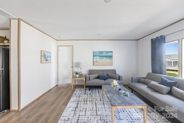 living room with wood-type flooring, a textured ceiling, and crown molding