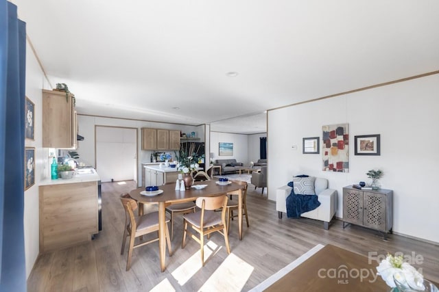 dining room with light hardwood / wood-style floors