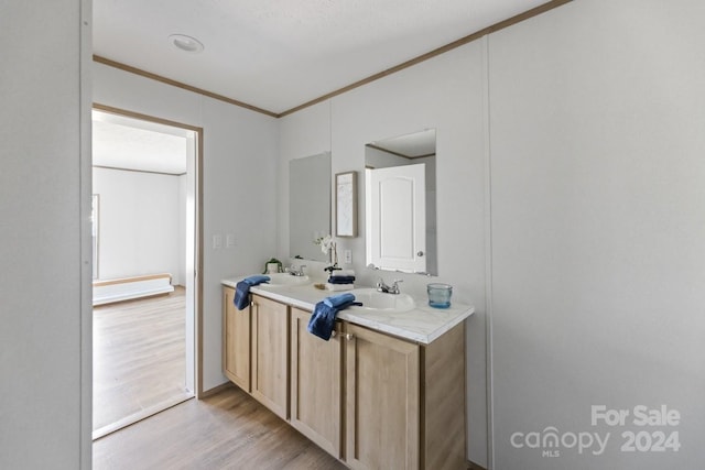 bathroom featuring hardwood / wood-style flooring, vanity, and crown molding