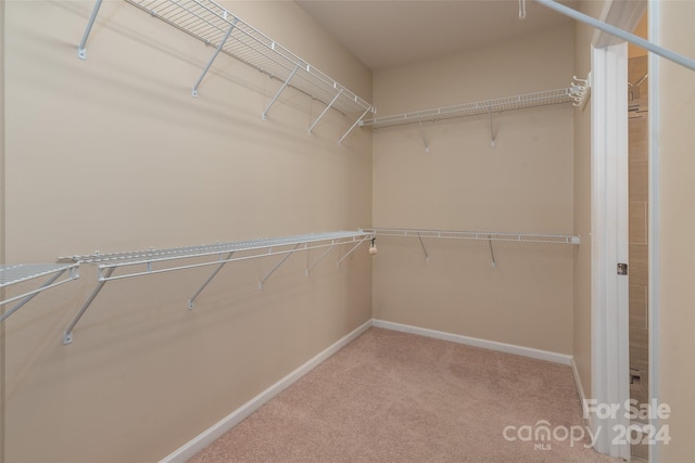 spacious closet with carpet floors