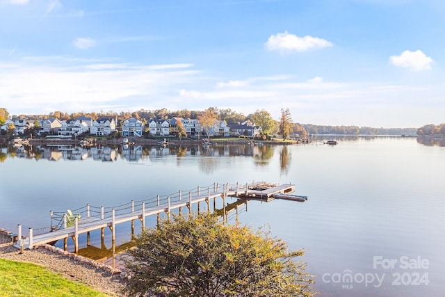 dock area with a water view