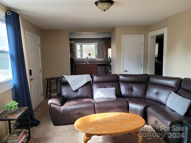 view of carpeted living room