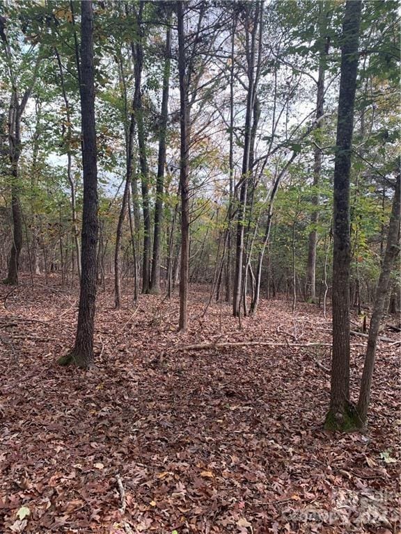 6244 Ra Austin Rd, Marshville, NC 28103