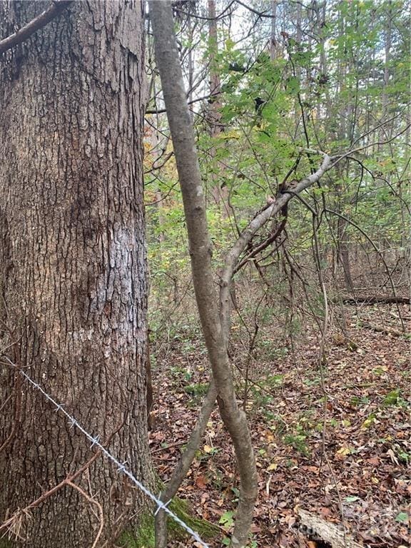 6244 Ra Austin Rd, Marshville, NC 28103