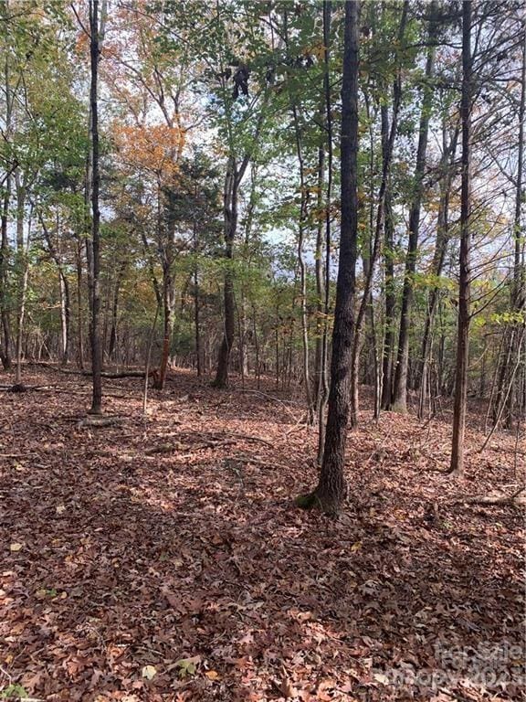 6244 Ra Austin Rd, Marshville, NC 28103