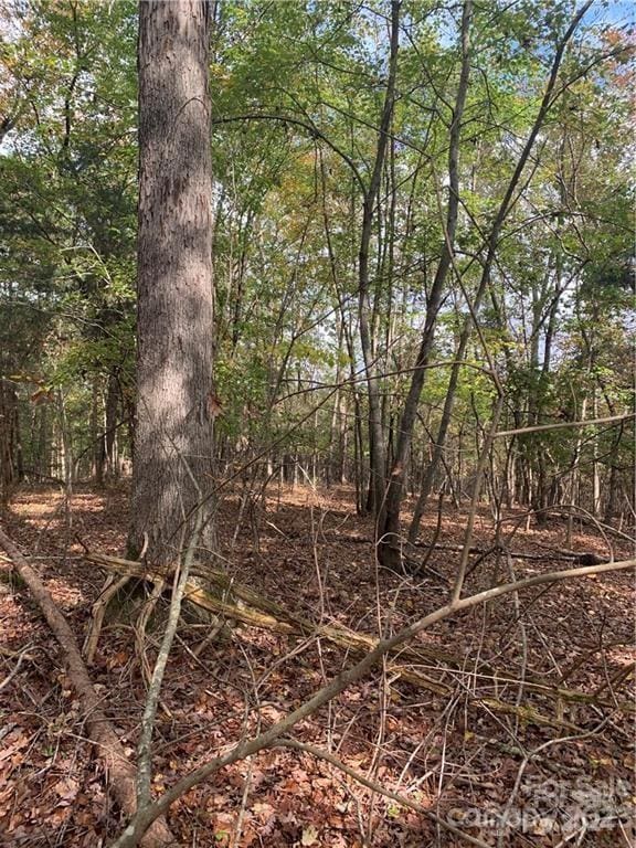 6244 Ra Austin Rd, Marshville, NC 28103