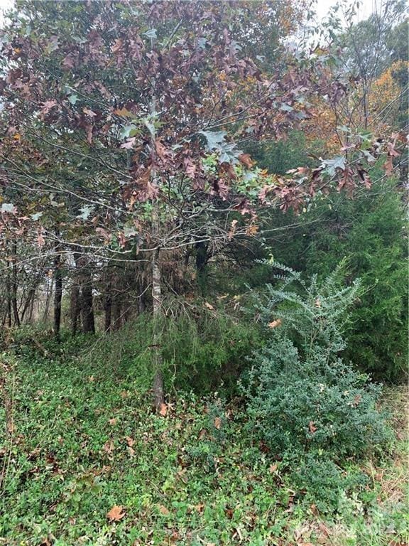 6244 Ra Austin Rd, Marshville, NC 28103