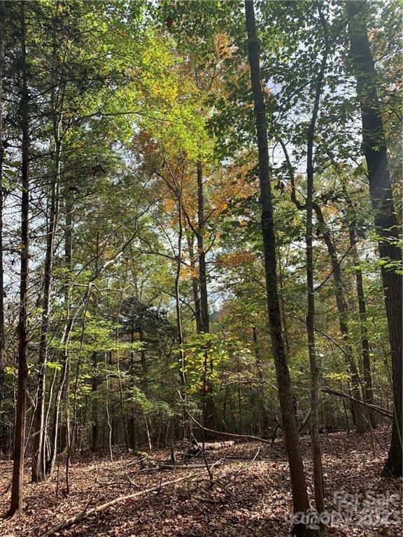 6244 Ra Austin Rd, Marshville, NC 28103