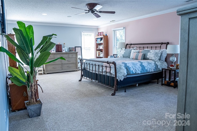 carpeted bedroom featuring ceiling fan, ornamental molding, and a textured ceiling