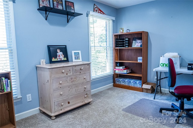 home office with carpet flooring