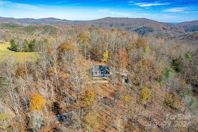 126 Bradley Ascent Ct, Hendersonville, NC 28792 - view of mountain background with a heavily wooded area
