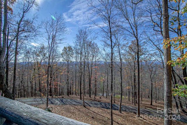126 Bradley Ascent Ct, Hendersonville, NC 28792 - view of yard with a wooded view