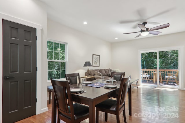 dining space featuring ceiling fan, a healthy amount of sunlight, and light hardwood / wood-style flooring