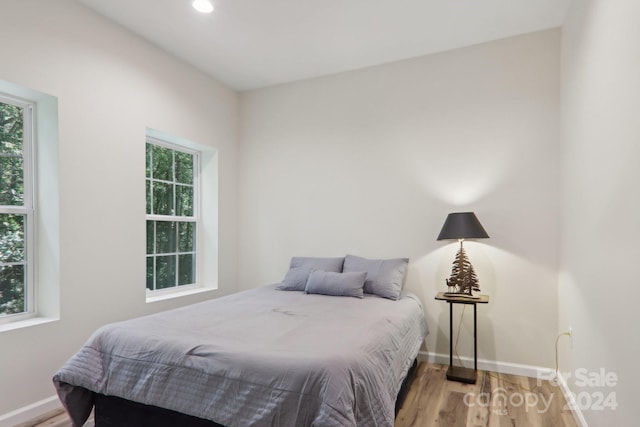 bedroom featuring multiple windows and wood-type flooring