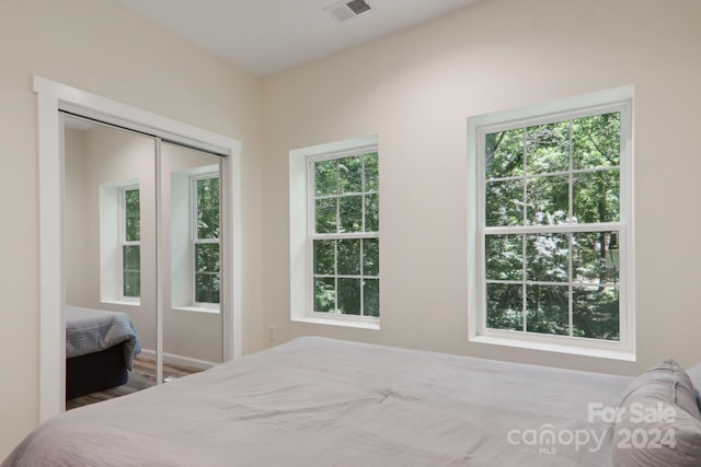 bedroom with a closet, hardwood / wood-style flooring, and multiple windows