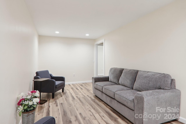 living room featuring light hardwood / wood-style flooring