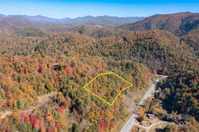 Listing photo 3 for 1896 Firefly Trl, Marshall NC 28753