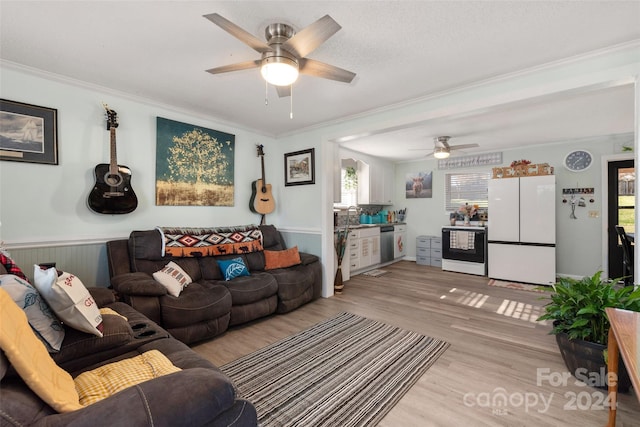 living room with ceiling fan, ornamental molding, sink, and light hardwood / wood-style flooring