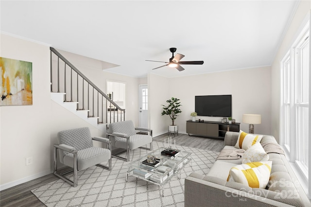 living room featuring ceiling fan, wood-type flooring, and crown molding