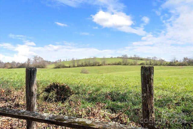 view of yard featuring a rural view