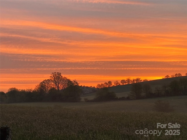 view of nature at dusk