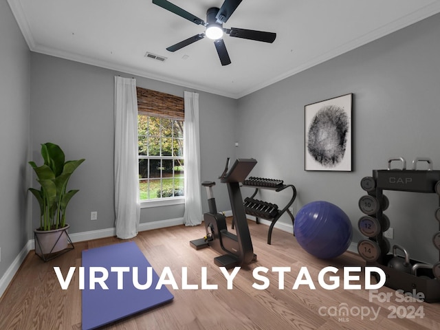 workout room featuring hardwood / wood-style floors, ceiling fan, and ornamental molding