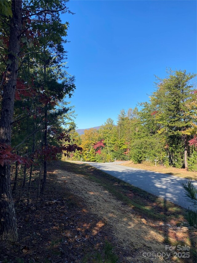 2127 Catawaba Trl Unit 166, Nebo, NC 28761