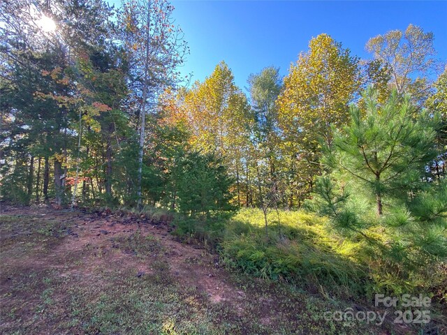 2127 Catawaba Trl Unit 166, Nebo, NC 28761