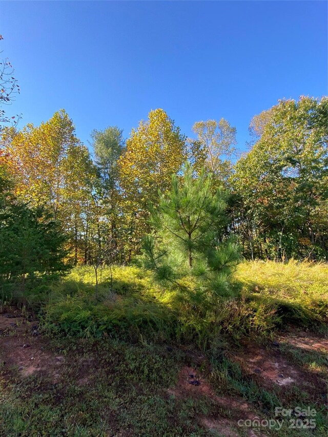 2127 Catawaba Trl Unit 166, Nebo, NC 28761