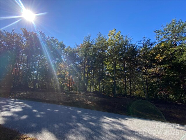 2127 Catawaba Trl Unit 166, Nebo, NC 28761