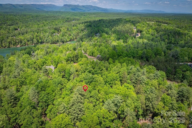 2127 Catawaba Trl Unit 166, Nebo, NC 28761