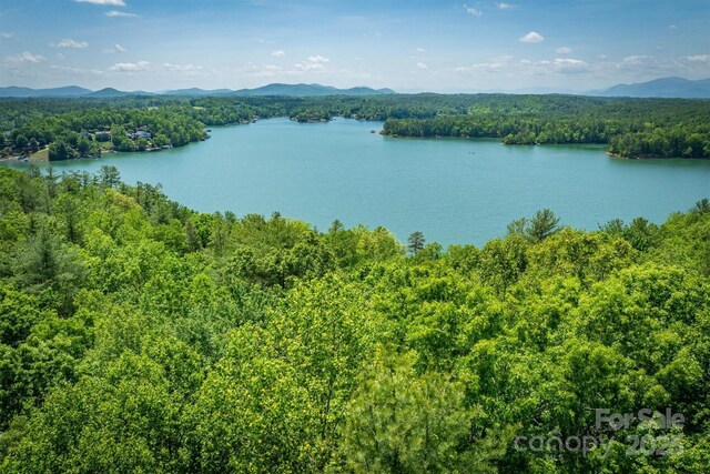 2127 Catawaba Trl Unit 166, Nebo, NC 28761