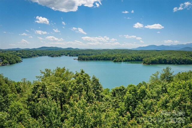 2127 Catawaba Trl Unit 166, Nebo, NC 28761