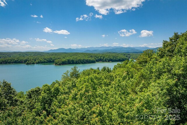 2127 Catawaba Trl Unit 166, Nebo, NC 28761