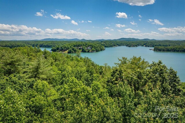 2127 Catawaba Trl Unit 166, Nebo, NC 28761