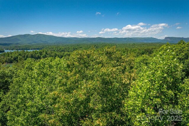 2127 Catawaba Trl Unit 166, Nebo, NC 28761