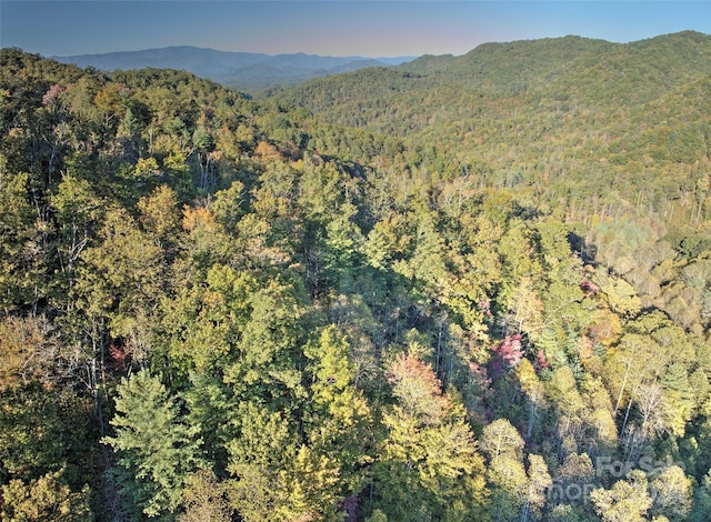 Listing photo 2 for 0 Wesser Creek Rd, Bryson City NC 28713