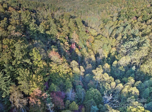 0 Wesser Creek Rd, Bryson City, NC 28713 - photo 4